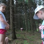 phoca_thumb_m_2. den vp  33 Fotogalerie
